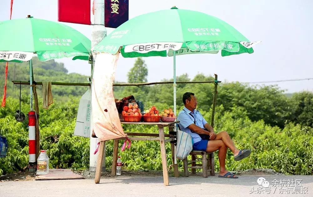 9090000㎡！余杭新增一大型公园，1299个足球场大！