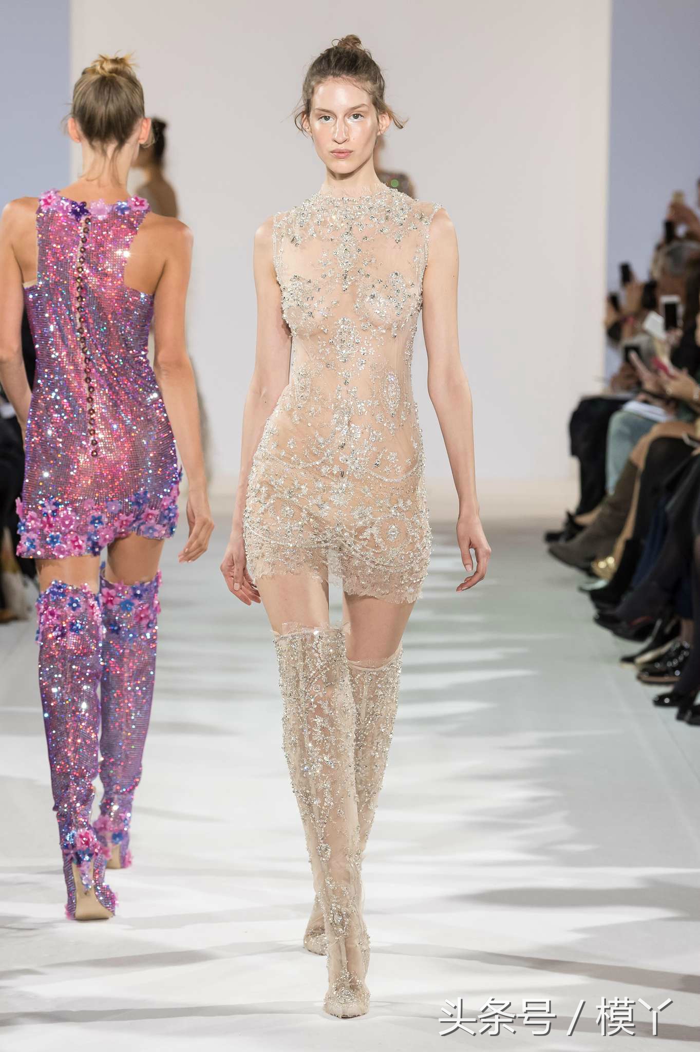 celiakritharioti楂樺畾,celiakritharioti濠氱罕