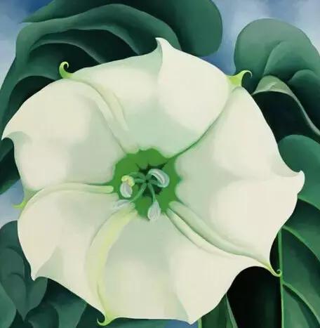 群芳争艳大全,群芳争艳100首