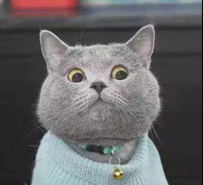 胆量悬殊的二人