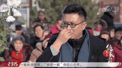 菊花什么人不建议吃呢,菊花可以吃下去吗