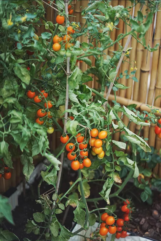 58平米老破房神级爆改,28平米老房爆改精致四居后续