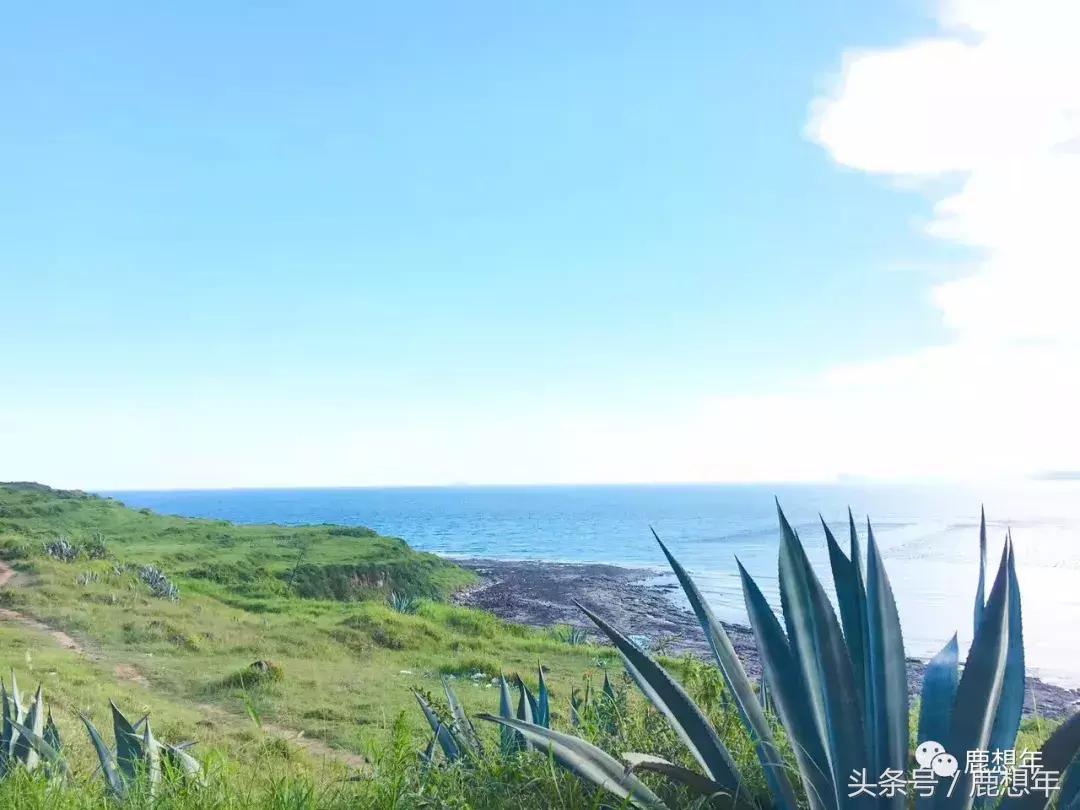 镇海角小垦丁,漳州小垦丁镇海角