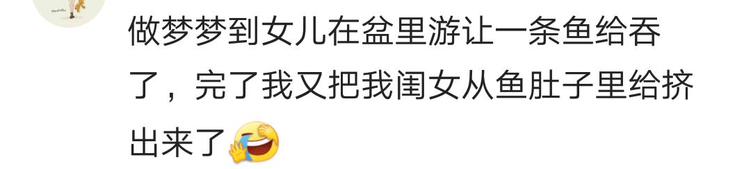 怀孕时梦到过两只狐狸,孕妇梦到过狐狸还梦到过凤凰