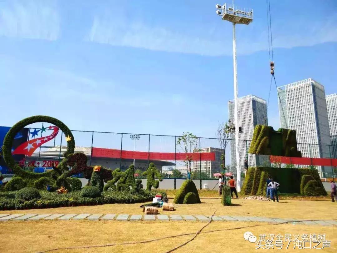 武汉第四十届菊展分别在哪里,武汉江滩第三十八届金秋菊展