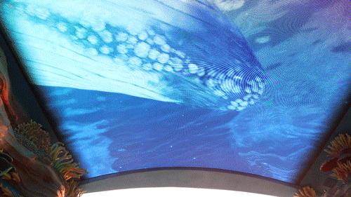 万圣夜珠海长隆,广州长隆万圣节怎么玩