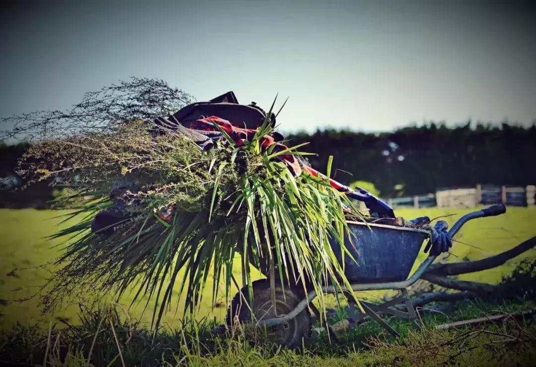 有超大草坪的庄园,大型生态农场庄园10万亩