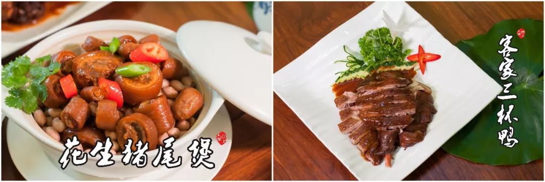 广东的杏花鸡,广东哪里有杏花鸡