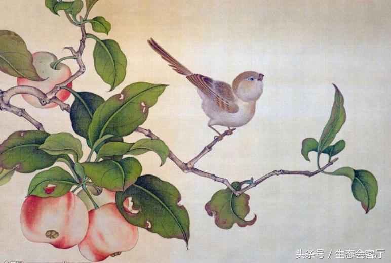 盐源苹果几月份上市,盐源苹果和阿克苏苹果哪个好吃