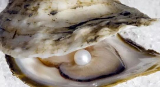 老珠子造假视频,老珠子造假