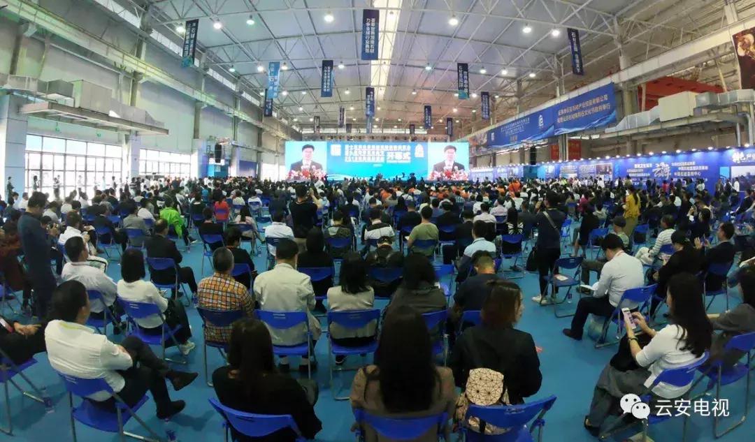 叹为观止发布会,顶级奇石展播视频