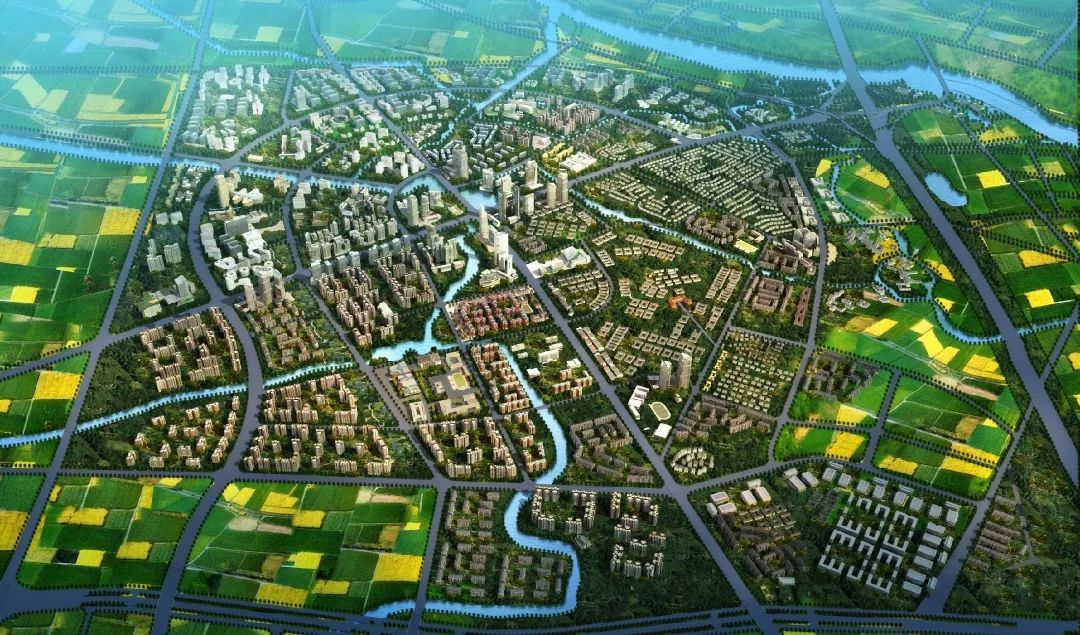 金温江介绍,金温江最新消息