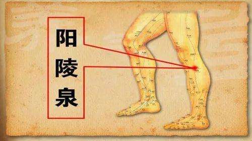 洗完澡按摩穴位可以吗,洗澡的正确按摩方法