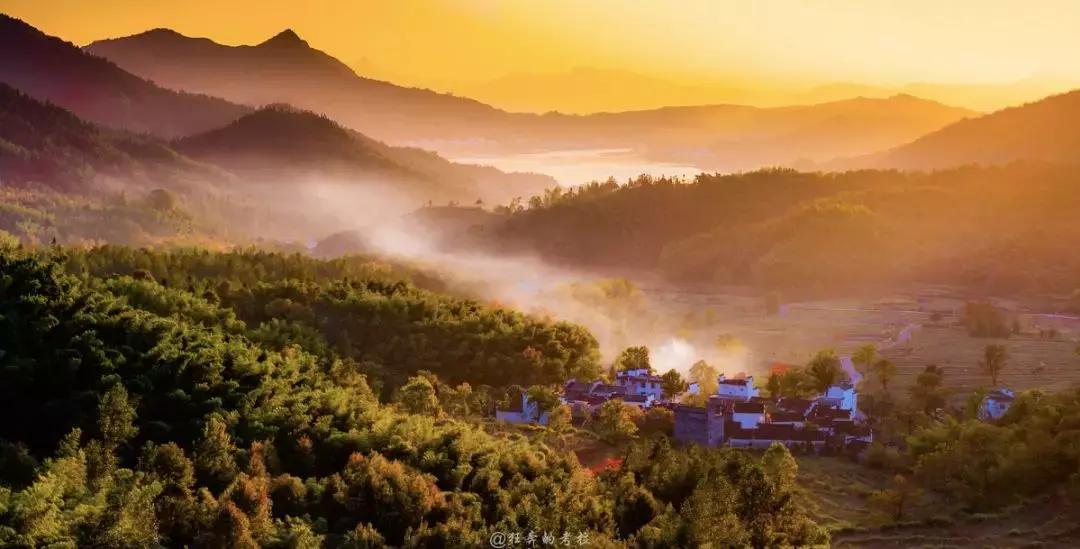 这片媲美京都的红叶之森只藏15栋梦幻树屋，杭州1.5h直达！