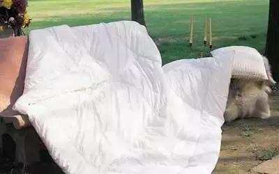 猫撒尿在被子上怎么去除异味,被子放在柜子里有异味怎么去除