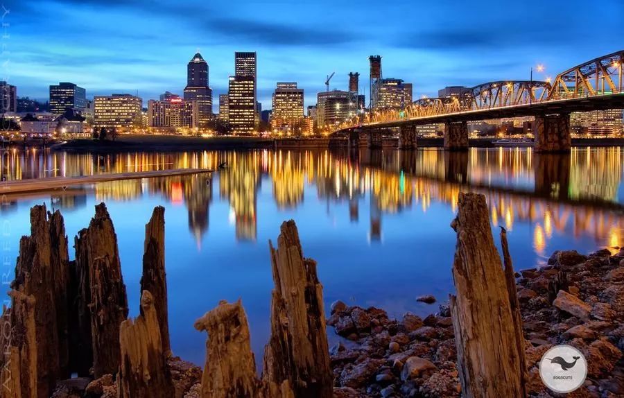 全美最值得去的城市,美国旅游十大城市