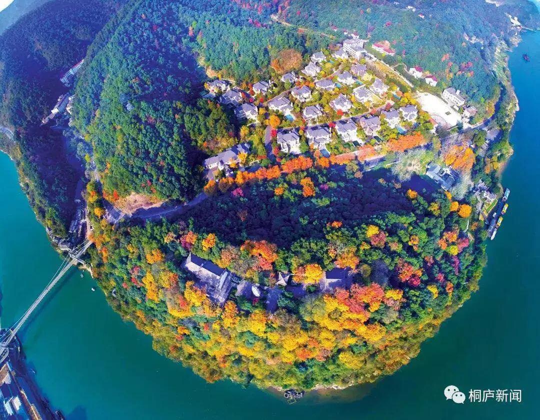 “望闻食嗅”皆养生……桐庐开启大杭州首条中医药健康养生之旅！