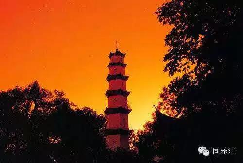 “望闻食嗅”皆养生……桐庐开启大杭州首条中医药健康养生之旅！