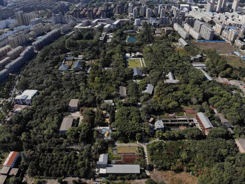 这就是长春歌曲,这里是长春