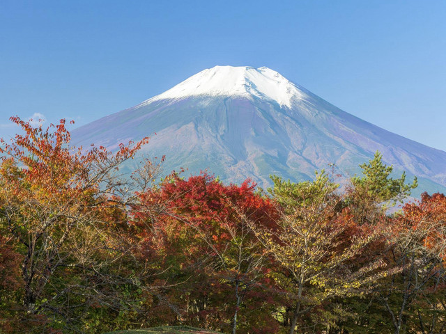中国人去日本见啥买啥，而日本人在中国却只喜欢这两样