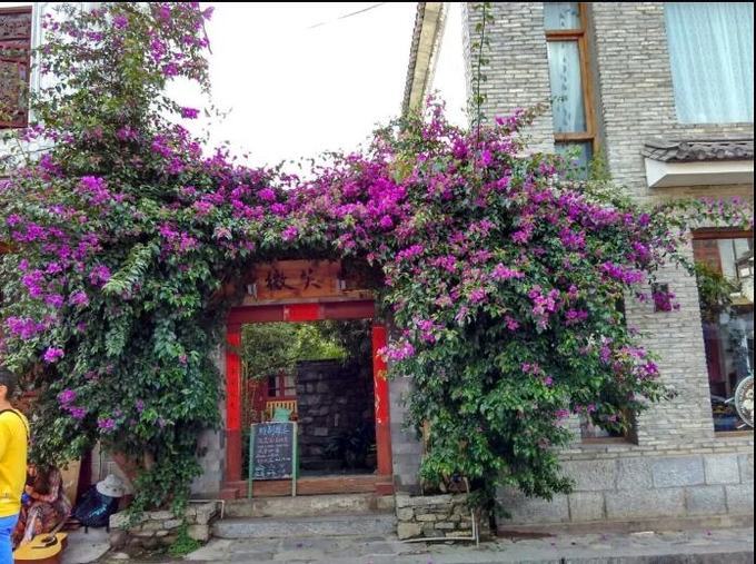 大理四景风花雪月的故事,在风花雪月的大理洱海边