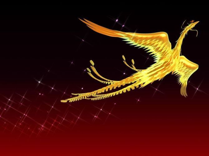 现代人对于凤凰究竟存在多少误解？凤凰和其他神鸟究竟有何区别？