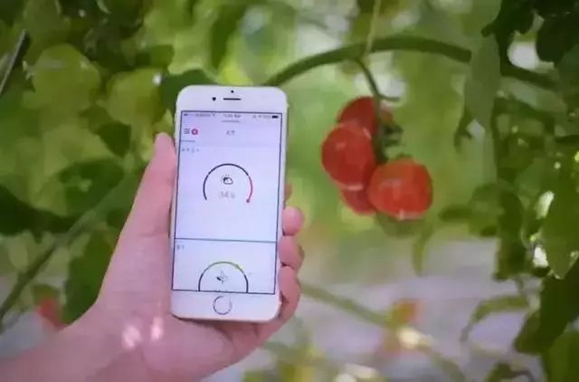 荷兰农业模式 (如何做好荷兰农业)