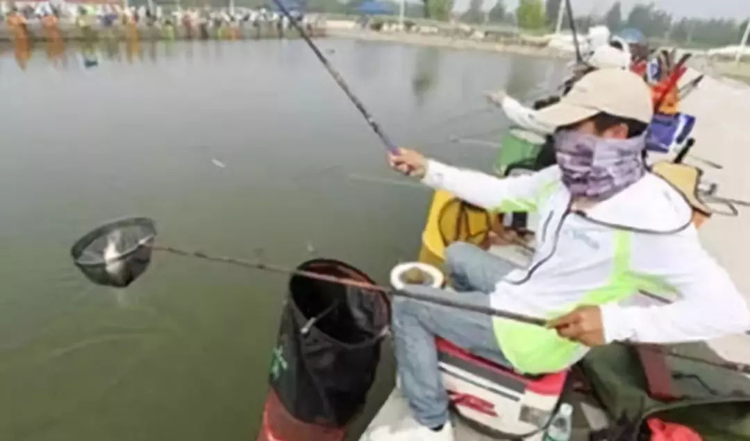 钓鱼小药怎么正确使用,丁香酒钓鱼的用法与用量