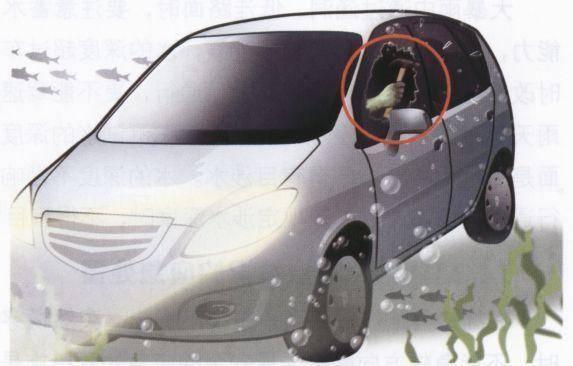 汽车落水自救技巧视频教程卡通,汽车落水如何自救逃生