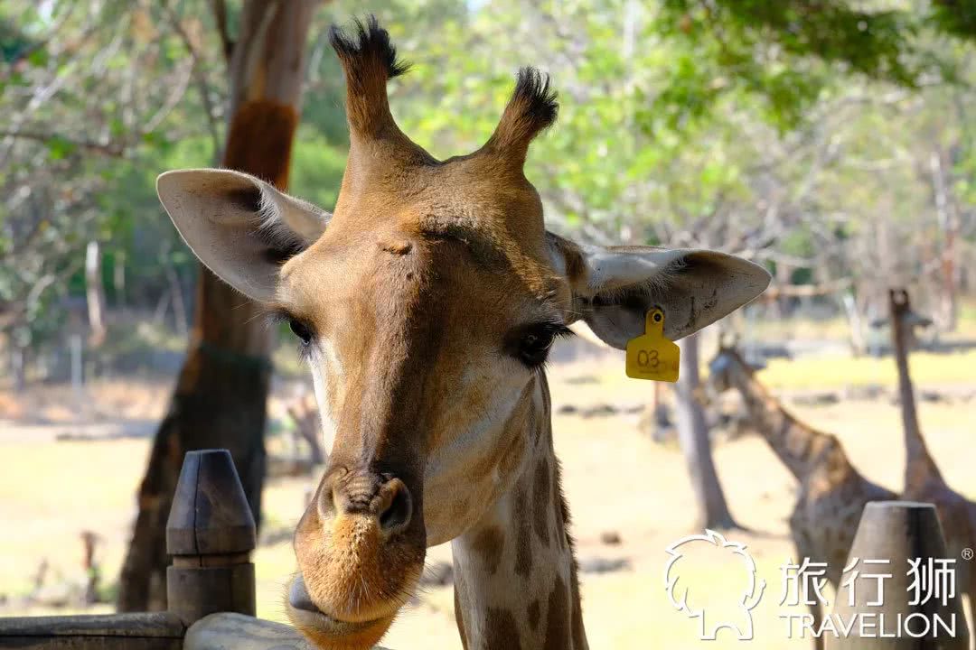 你喜欢什么样的海水,你喜欢什么样的海