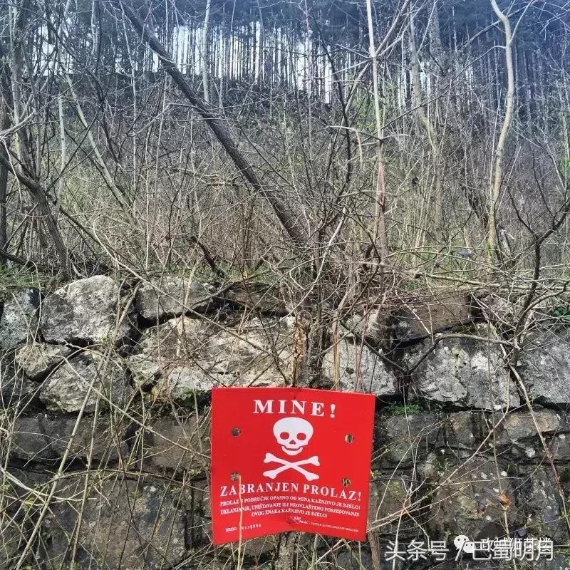 建筑工程世界杯,建筑师为什么那么厉害