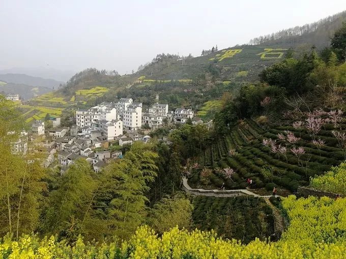 秋天的安徽,这才是安徽秋天该有的样子