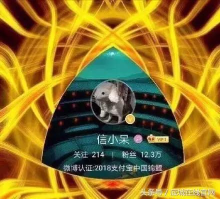 锦鲤都有哪些活动类型呢,锦鲤活动在哪里