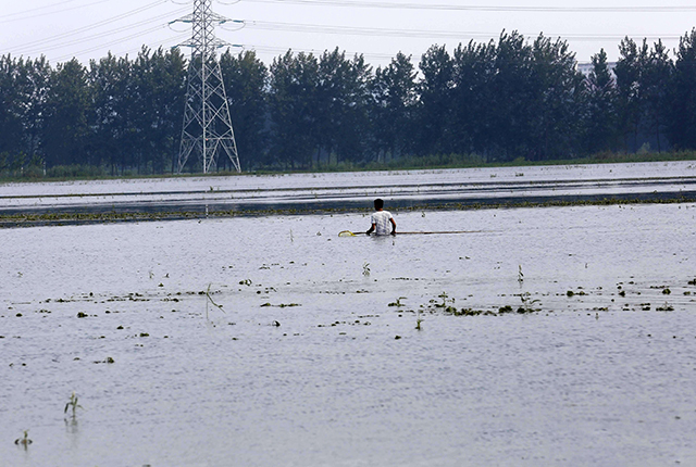 连续暴雨天鱼塘的管理,下暴雨后鱼塘有泡沫怎样处理