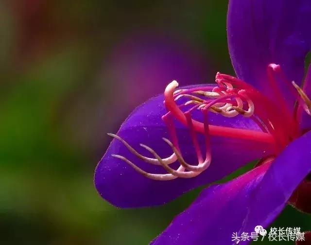 课堂上没听懂老师讲了怎么办,学生听不懂老师讲课该怎么办