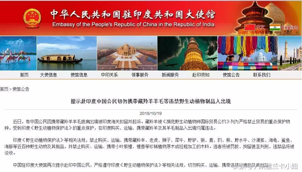 中国女性在印携藏羚羊毛披肩出境被捕，游客：如何判断*禁品违**？