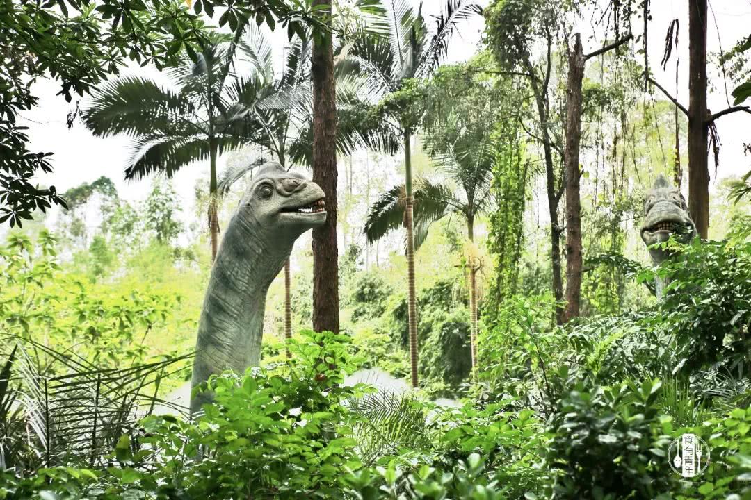 动物园万圣节里面有什么,万圣节动物王国