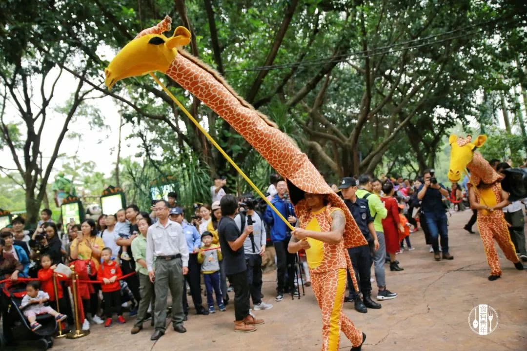 动物园万圣节里面有什么,万圣节动物王国