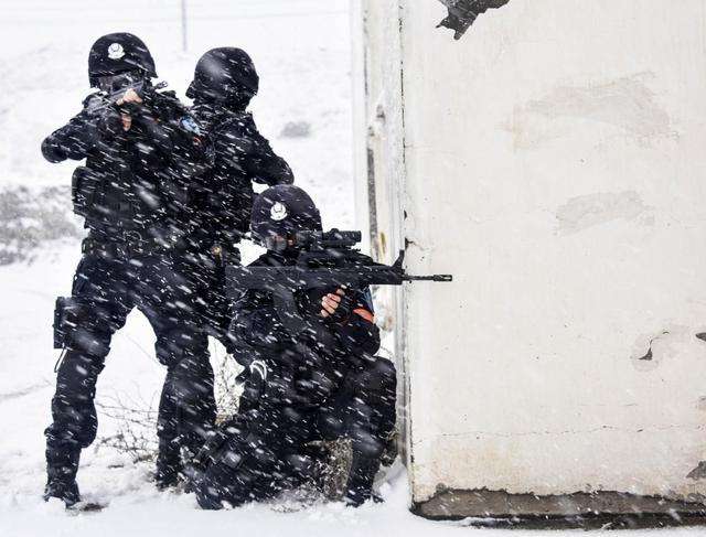 特警和警察有什么不同,特警和派出所干警有什么不同