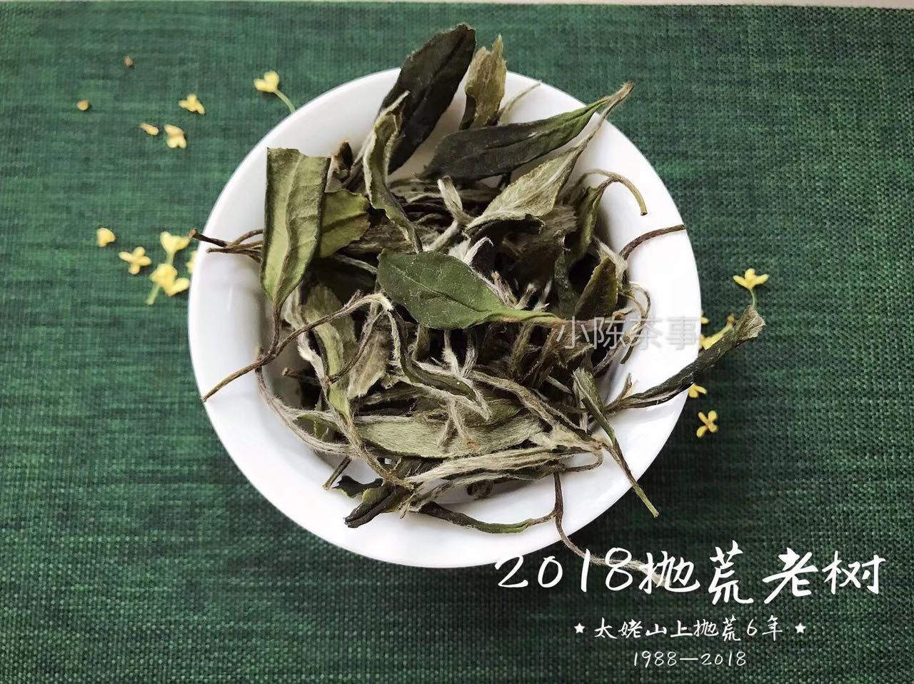 白茶饼受潮什么颜色,白茶饼有发霉味