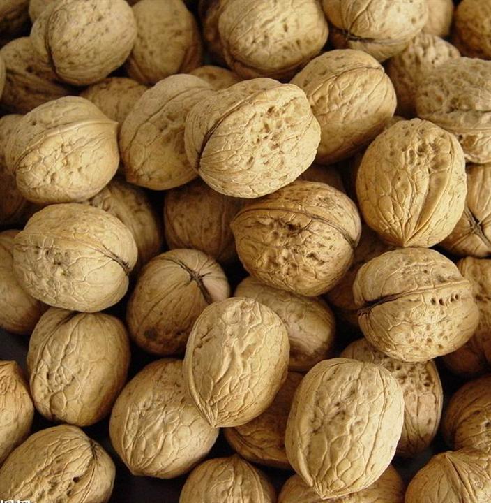 山西汾州核桃仁,山西汾州核桃特产