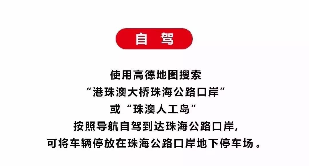 港珠澳大桥穿梭巴士过程,港珠澳大桥通车相关消息