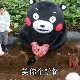 全国最魔性的方言东北话,最难懂的方言中国方言排行榜