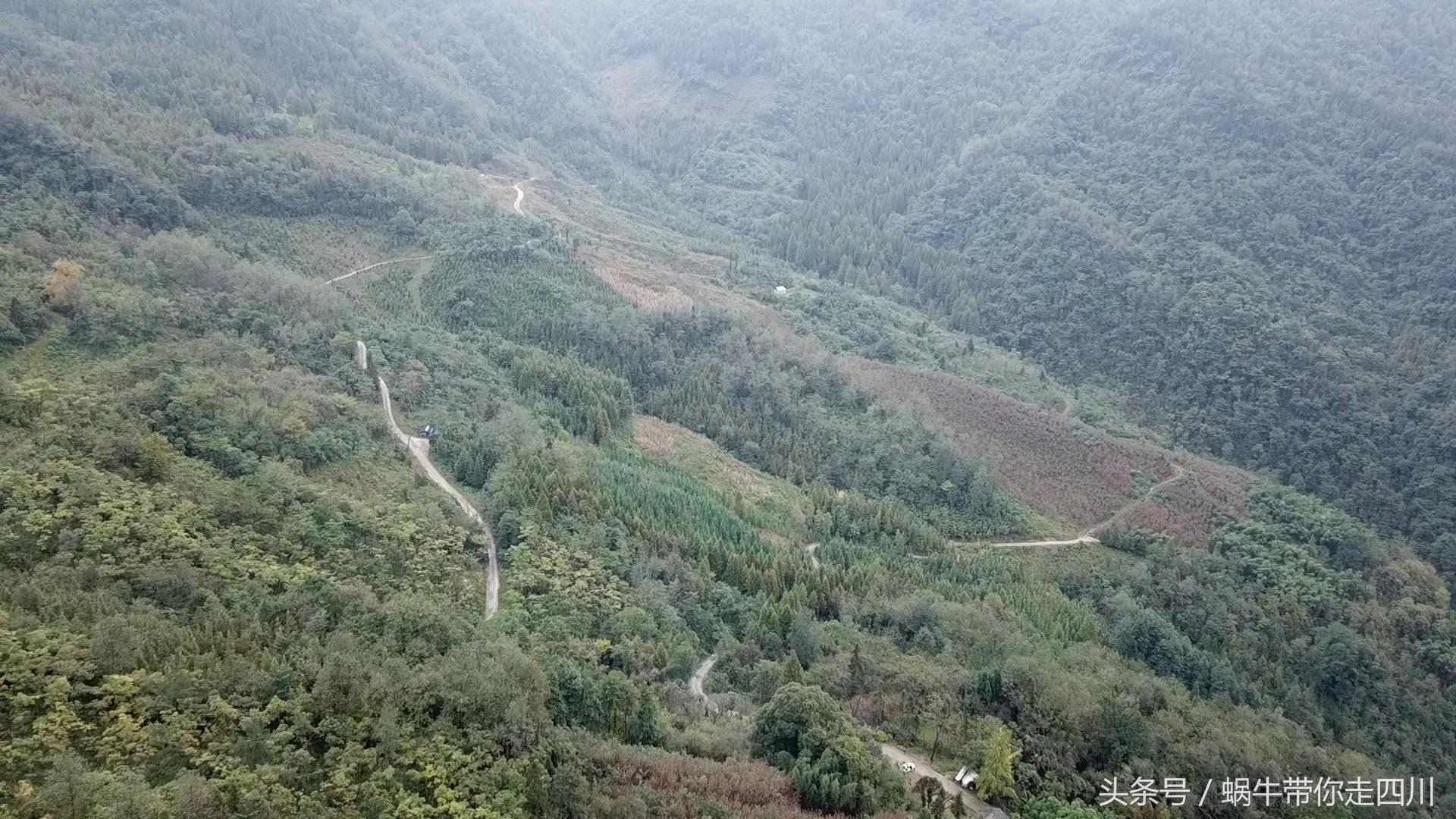 成都西岭雪山玩一天大概多少钱,成都西岭雪山旅游一日游报团