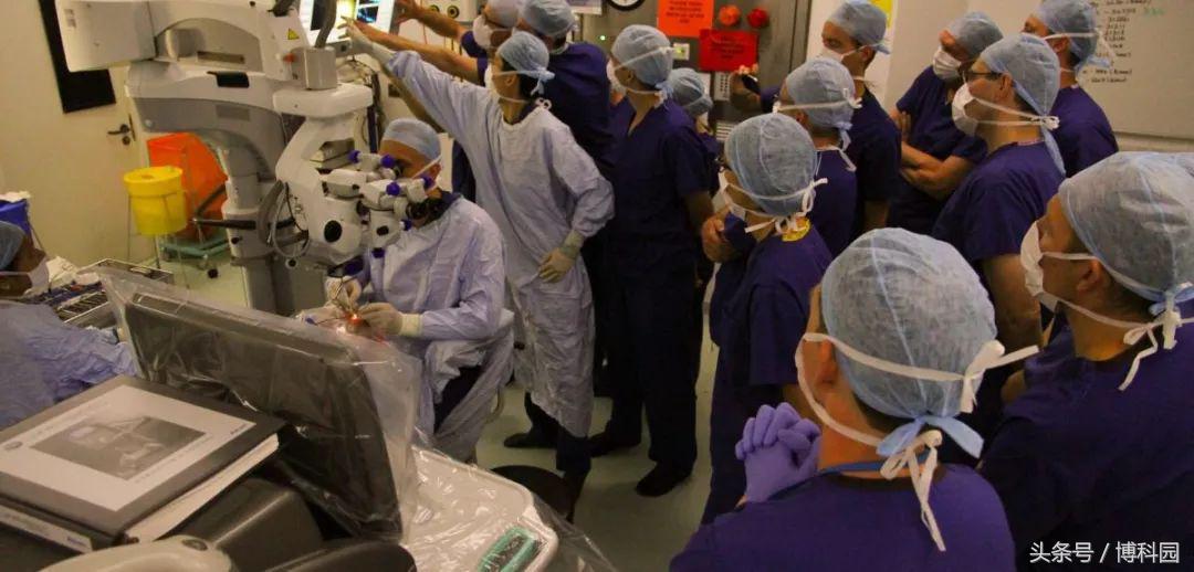 失明40年重见光明基因疗法创奇迹,全国基因治疗眼睛最新突破
