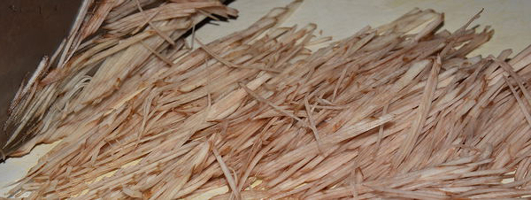 天冷了此菜再贵也要吃比大虾还补,天冷了吃了这个下饭菜让你暖起来