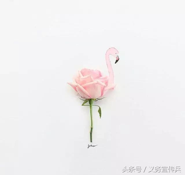 适合发朋友圈的短句经典语录,适合发朋友圈的句子吸引人