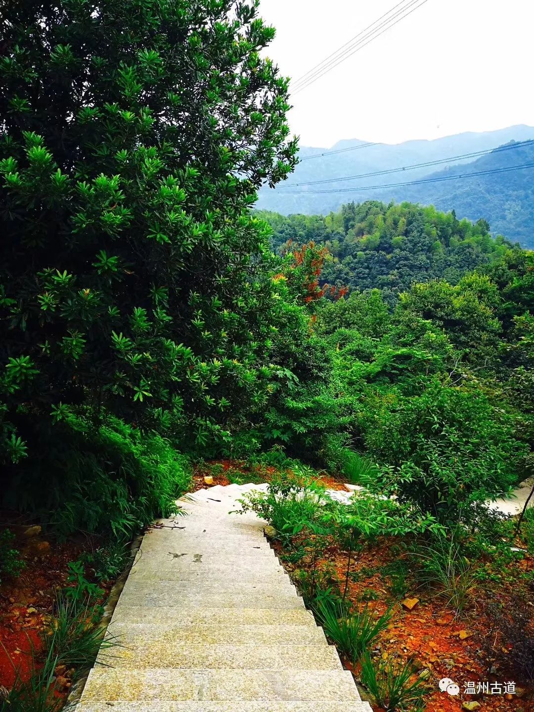 瓯海瞿溪风景,远山近水如诗如画