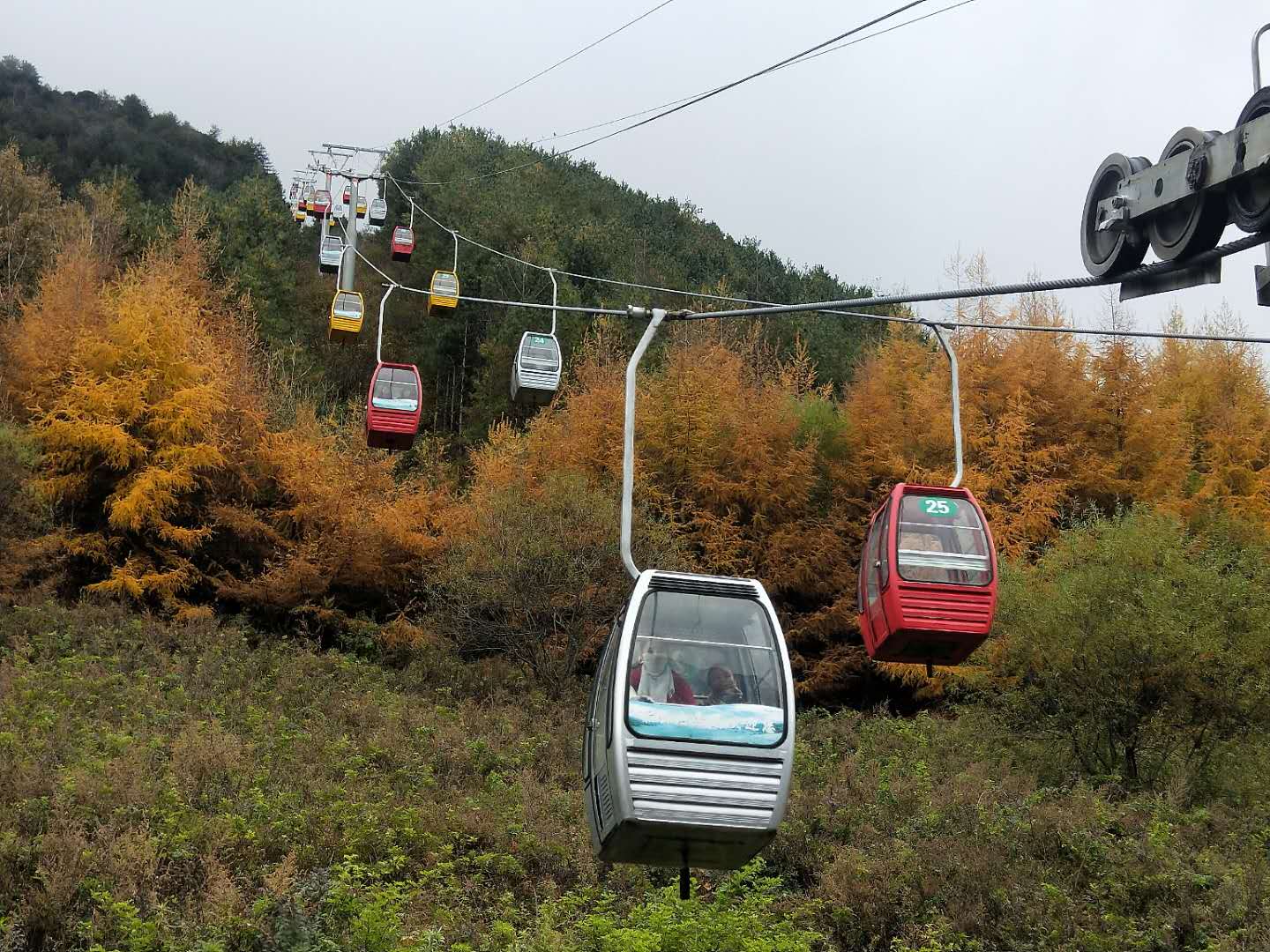 秋景西安好去处,雨后遇晴天留坝寻秋色