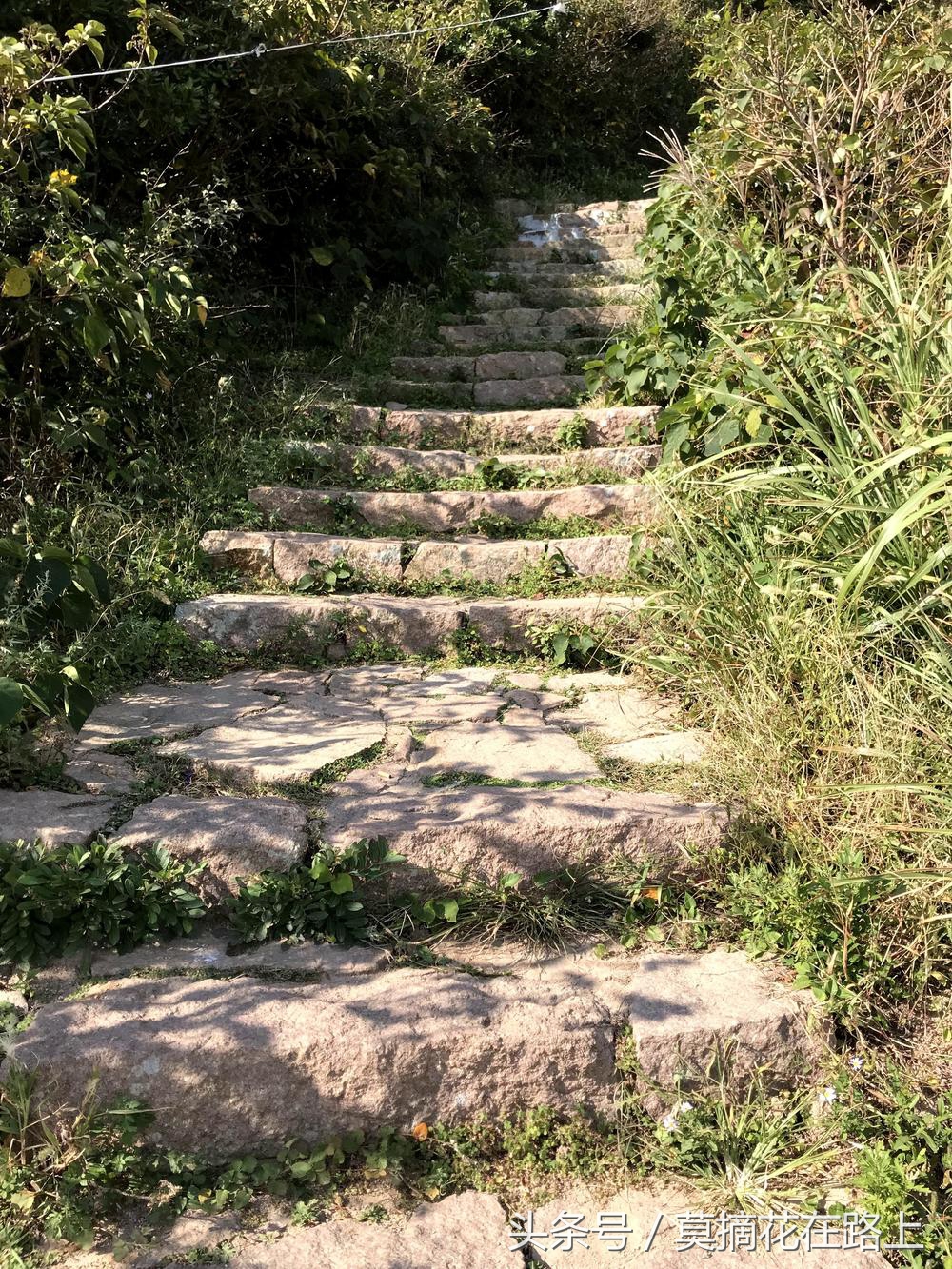 关于东方小希腊枸杞岛的一日游记,小众而避世东方的小希腊枸杞岛